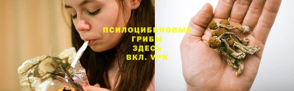 ешки Алзамай